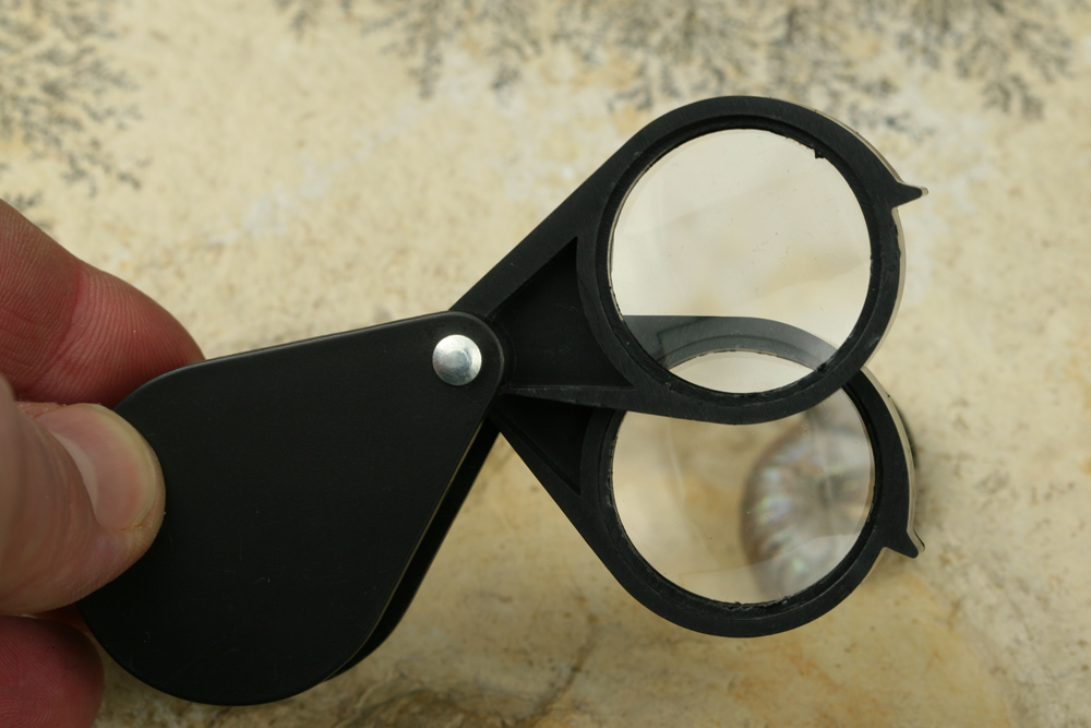 Dual Folding Magnifier 24x (12x and 12x)