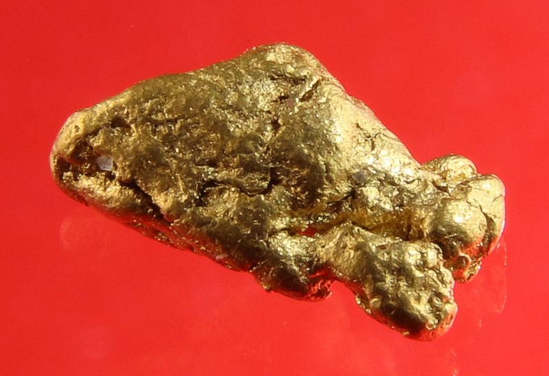 Gold Nugget