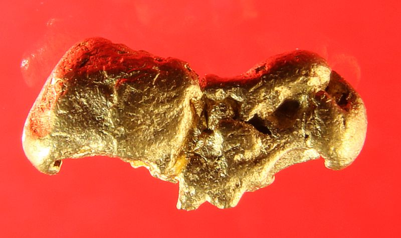 Gold Nugget