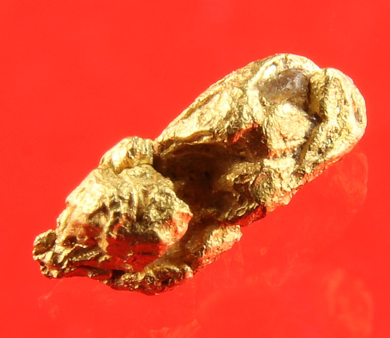 Gold Nugget