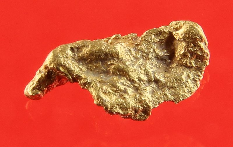 Gold Nugget