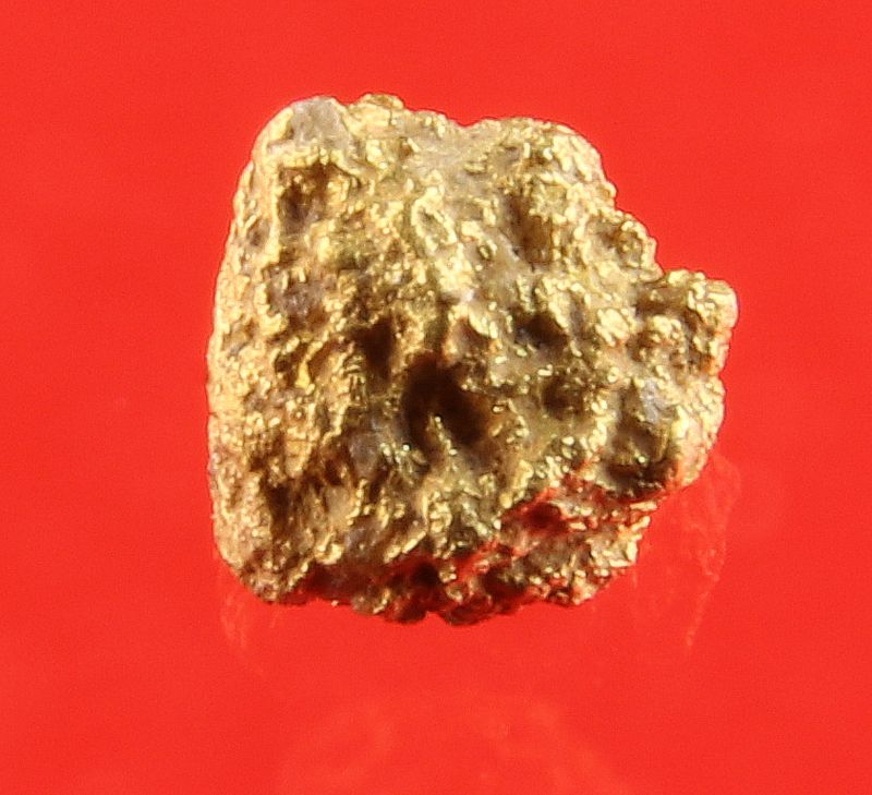 Gold Nugget