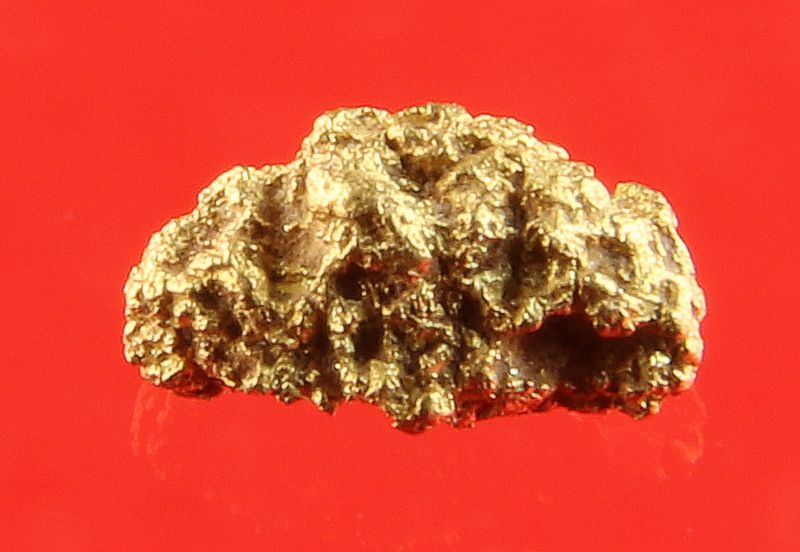 Gold Nugget