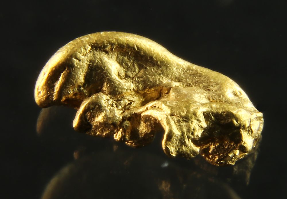 Gold Nugget