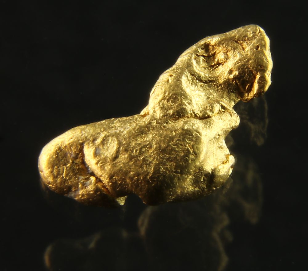 Gold Nugget