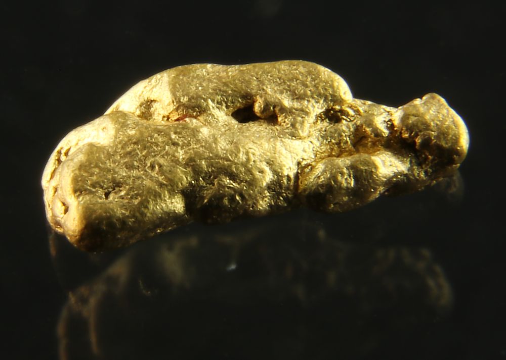 Gold Nugget