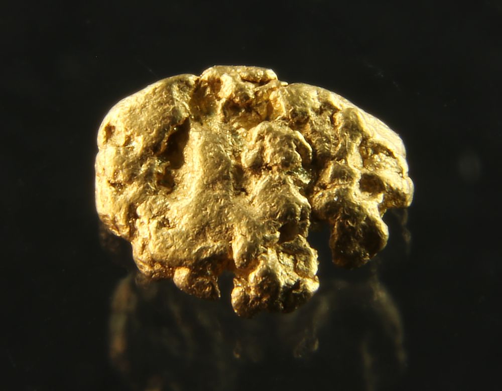 Gold Nugget