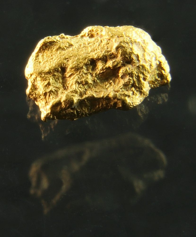 Gold Nugget