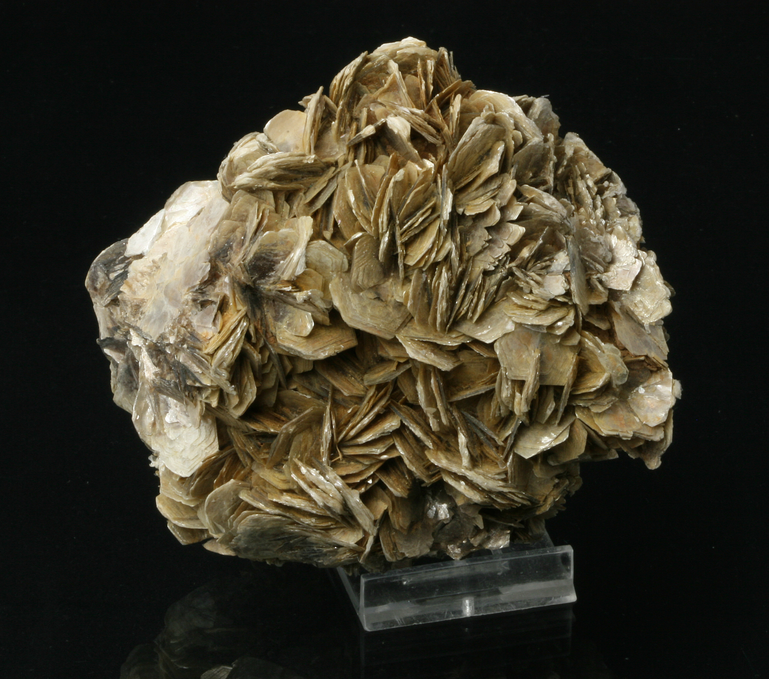 Muscovite