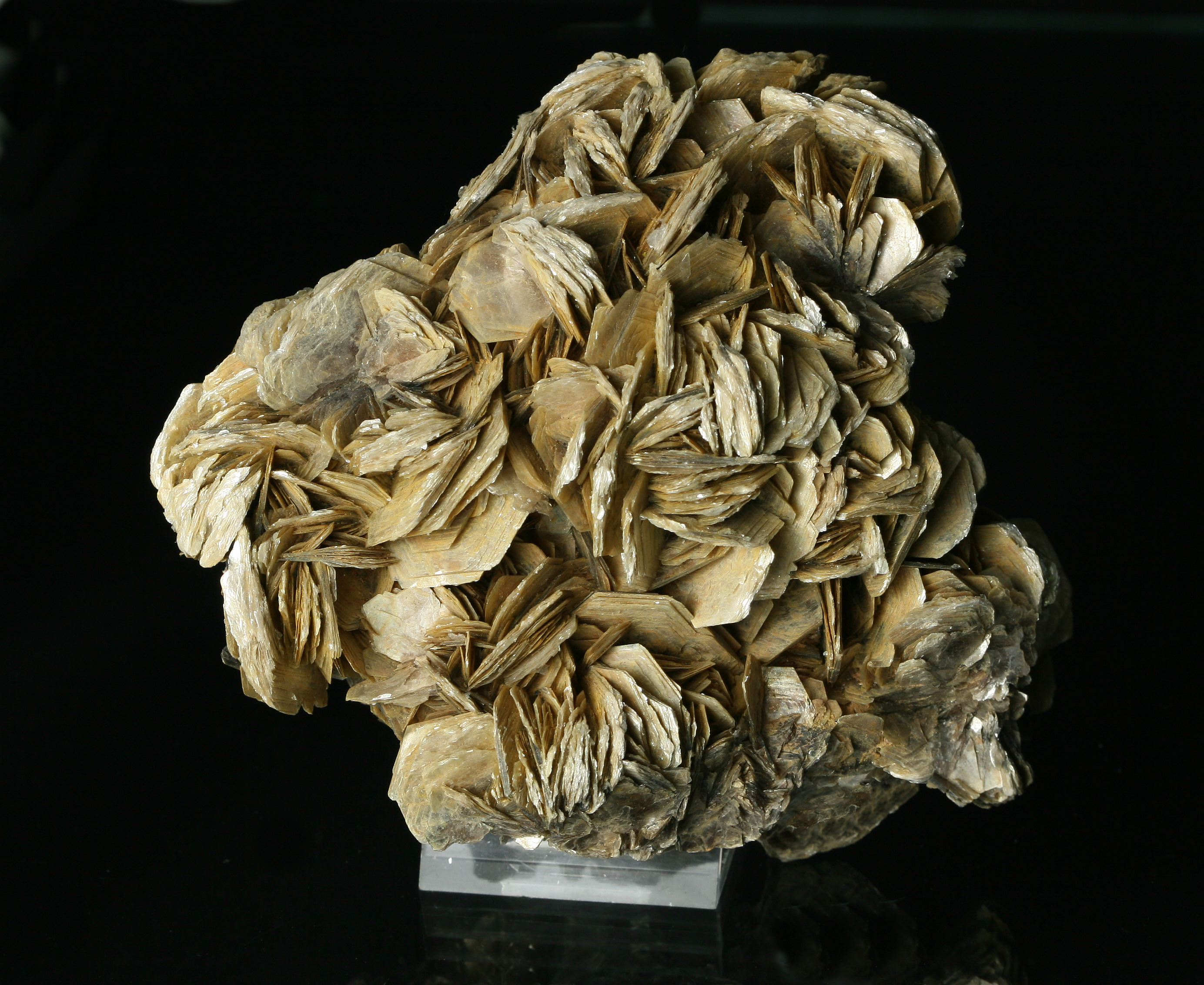 Muscovite