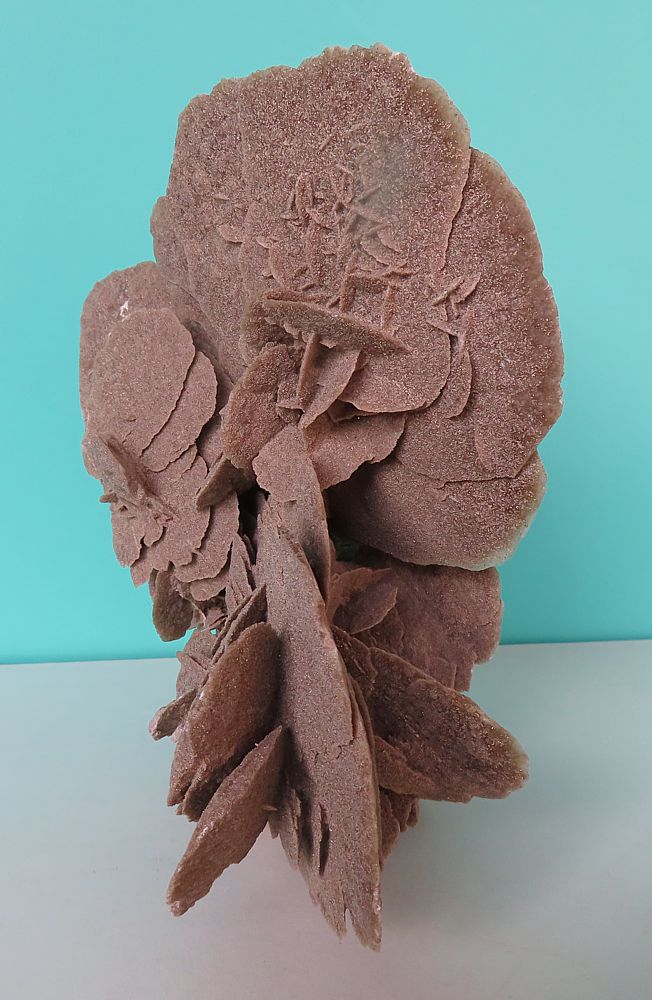 Sand Rose (Gypsum) 1,9kg
