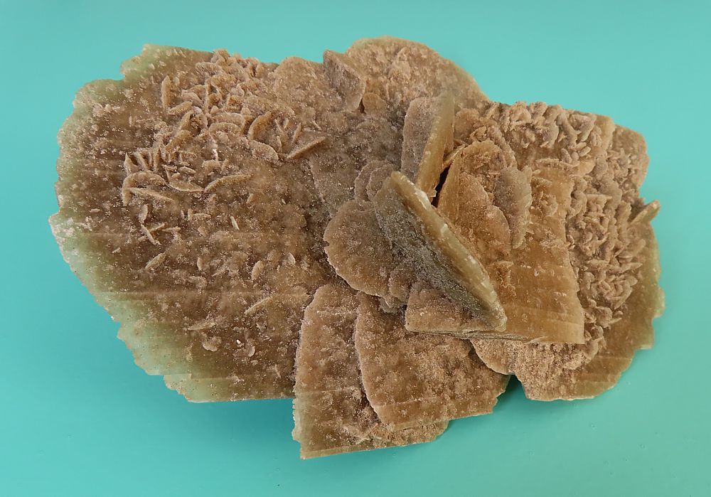 Sand Rose (Gypsum)