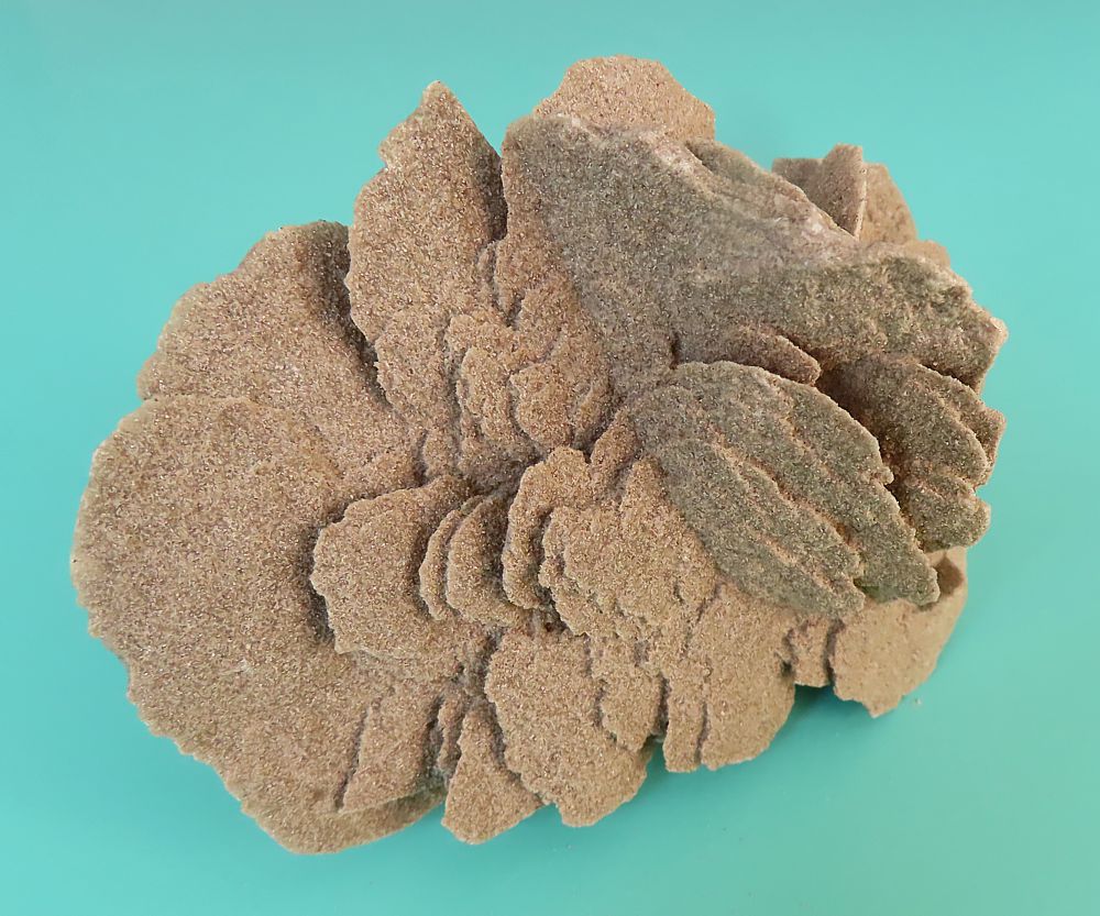 Sand Rose (Gypsum)