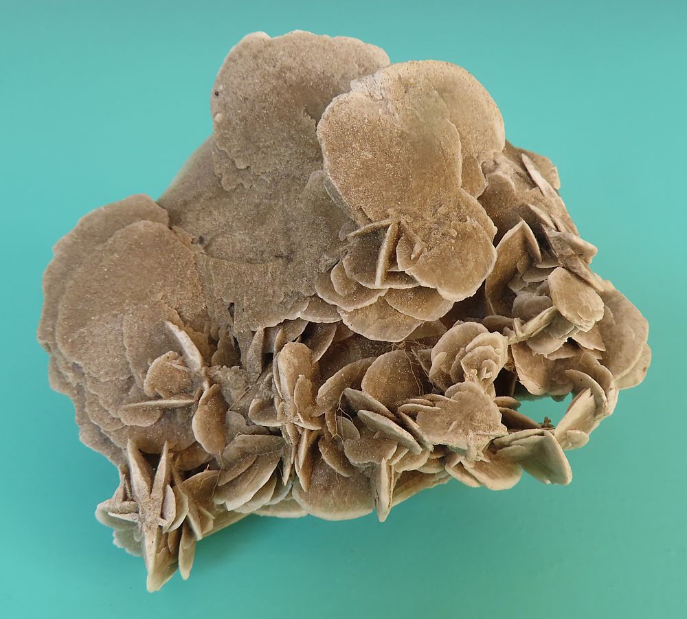 Sand Rose (Gypsum)