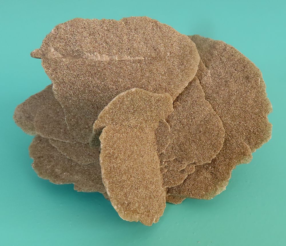 Sand Rose (Gypsum)