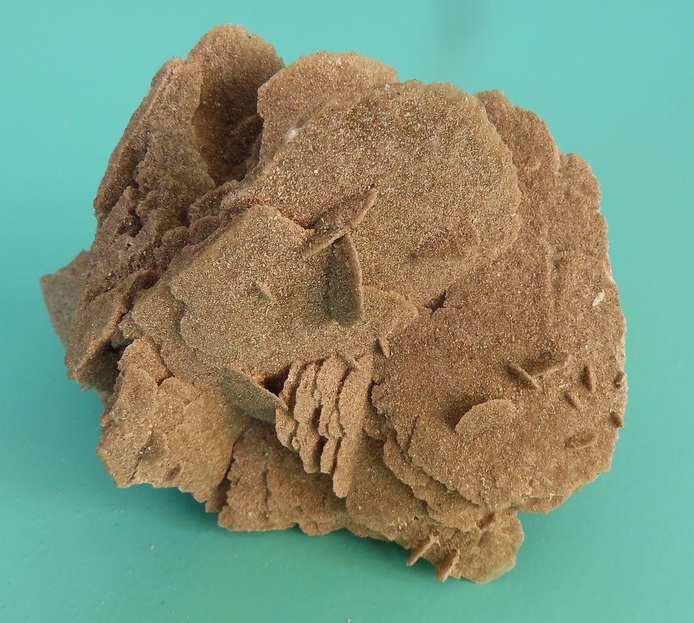 Sand Rose (Gypsum)