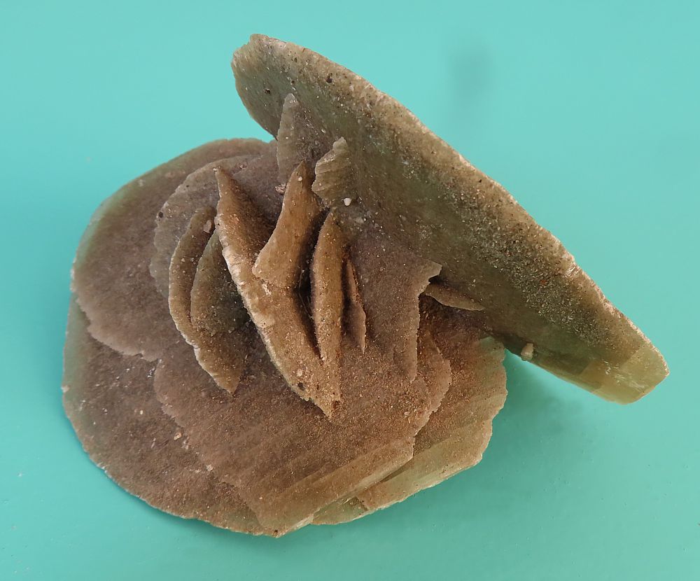 Sand Rose (Gypsum)