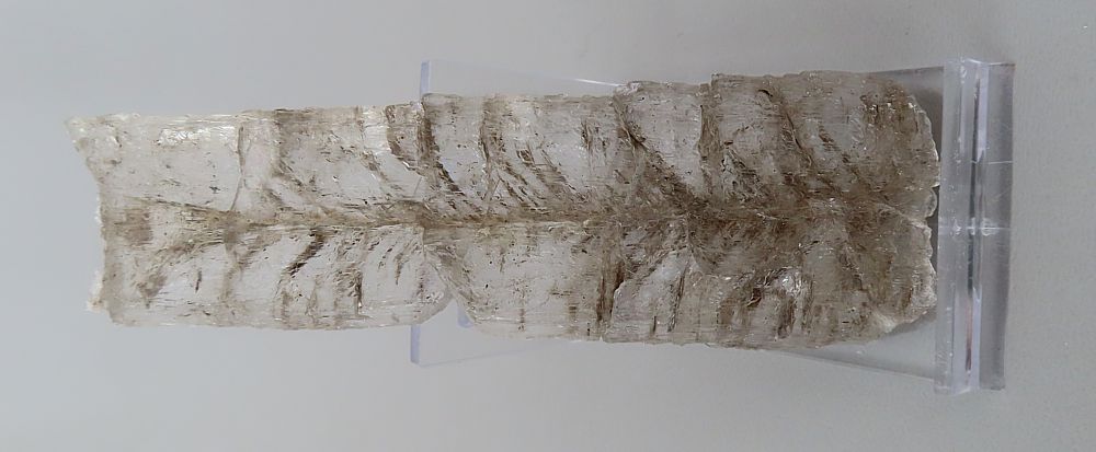 Selenite
