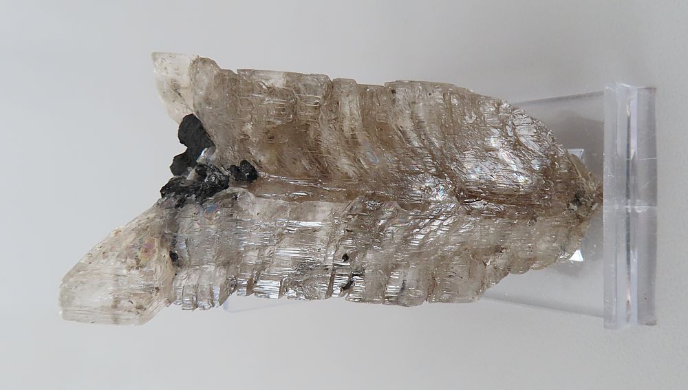 Selenite