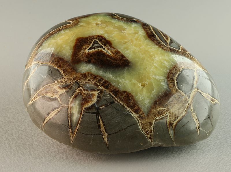 Septaria Cabochon