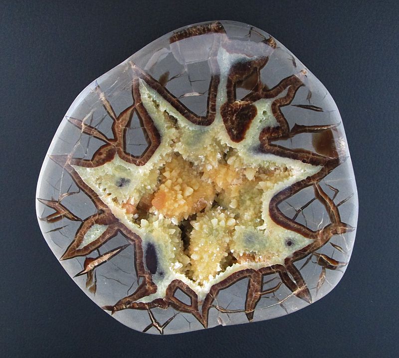 Septarian geode (concretion)