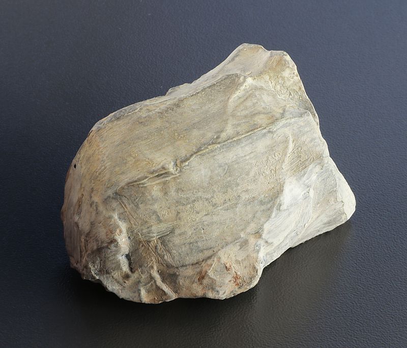 Lithic core (cast)