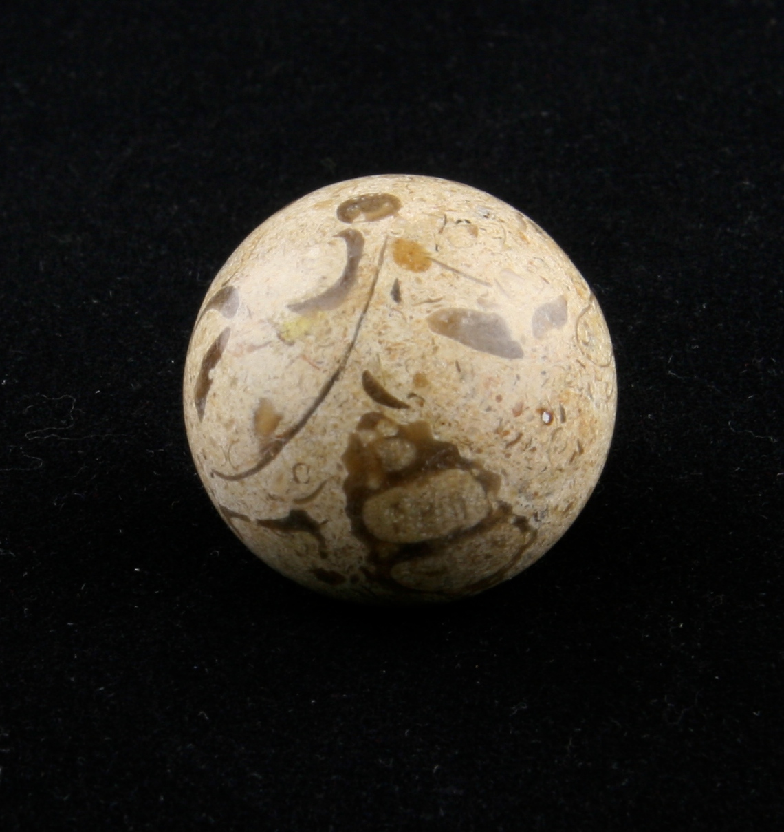 Turritela marble sphere