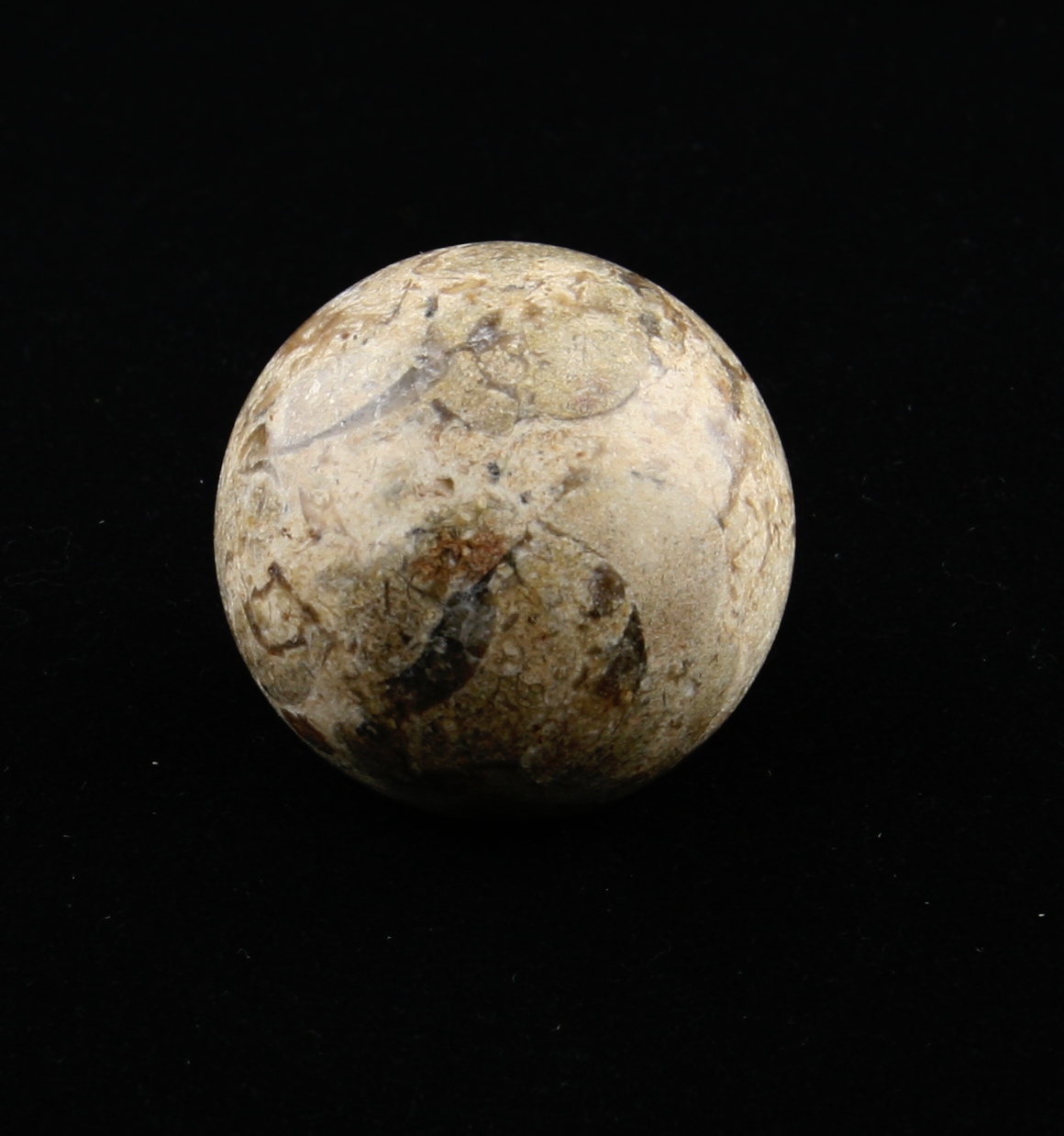 Turritela marble sphere