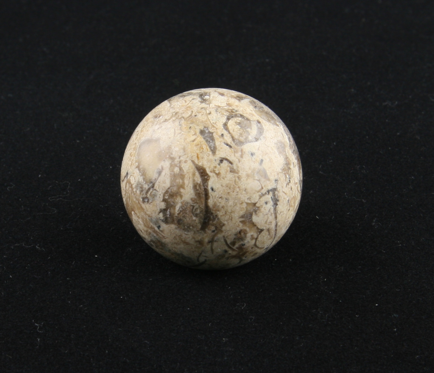 Turritela marble sphere