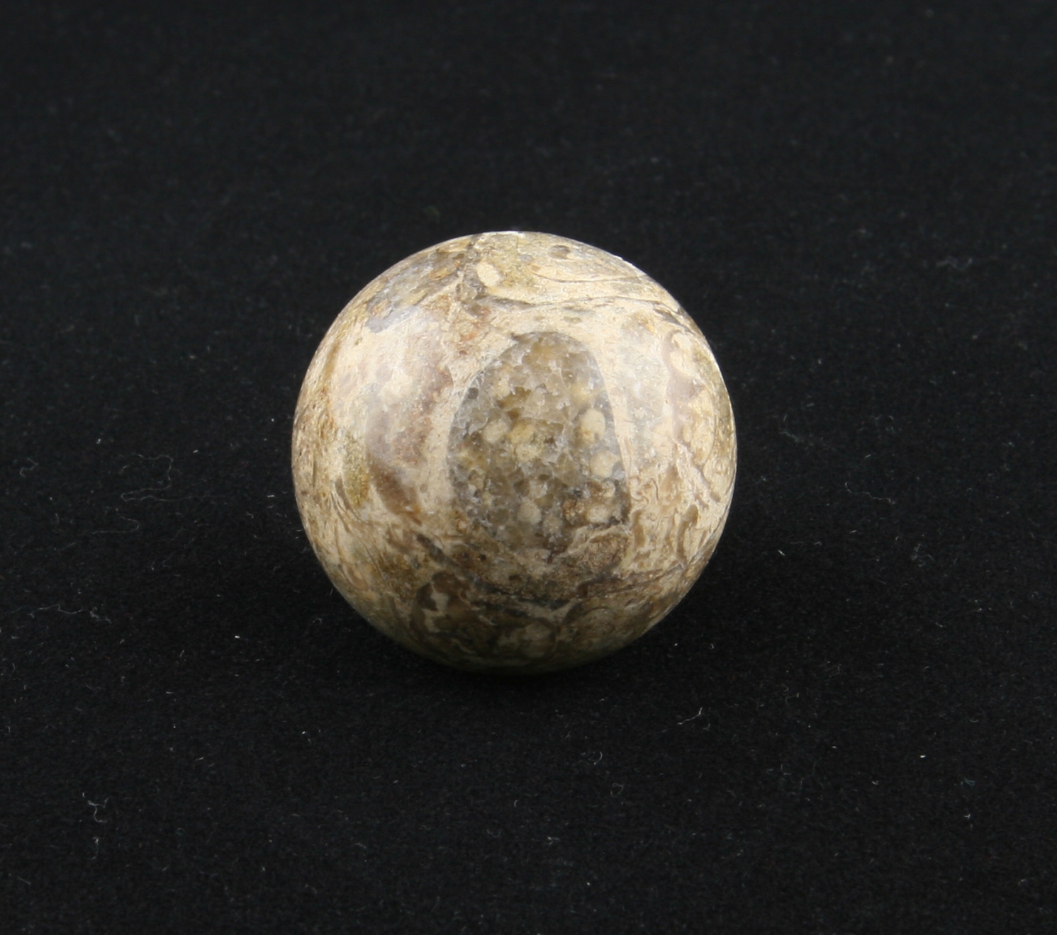 Turritela marble sphere