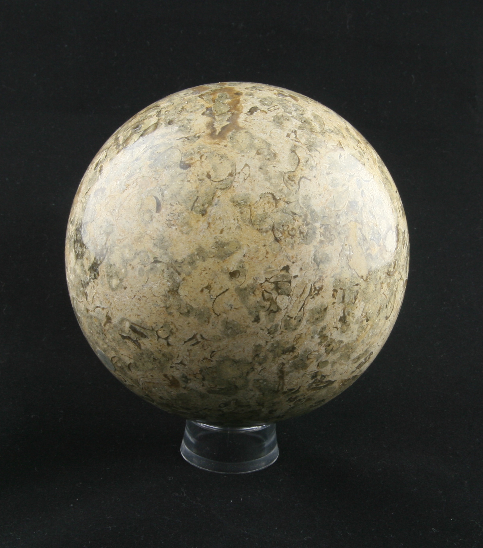 Turritela marble sphere