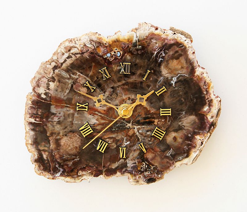 Petrified Wood Clock