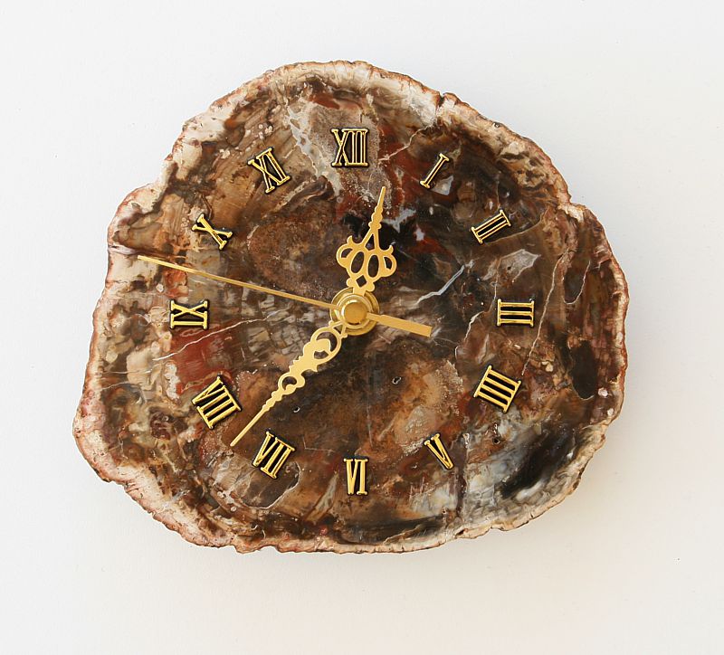 Petrified Wood Clock