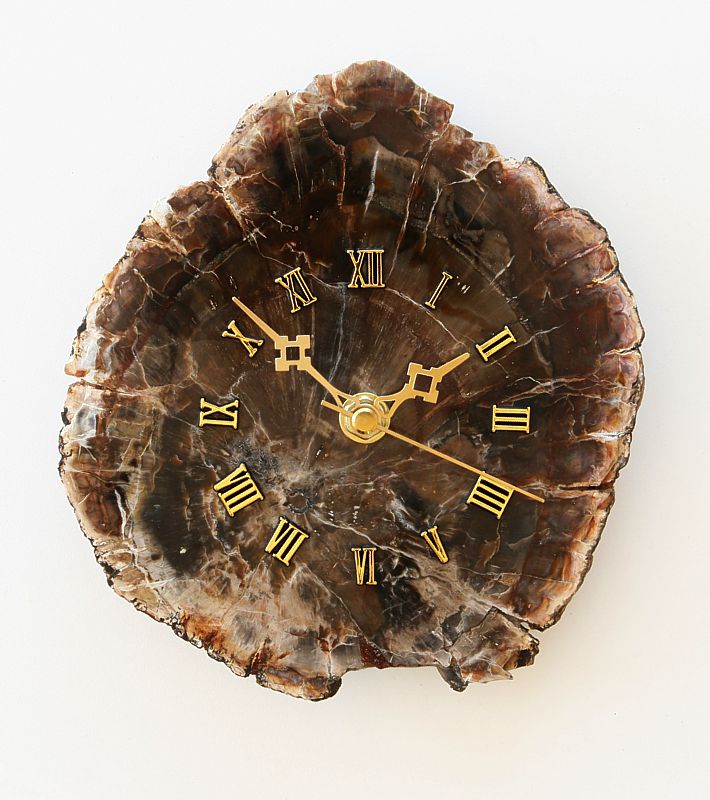 Petrified Wood Clock