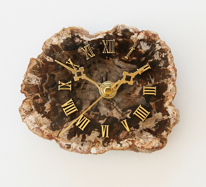 Petrified Wood Clock