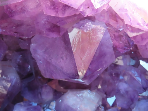 Amethyst-Druse 50cm | 43kg
