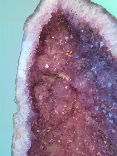Amethyst-Druse 55cm | 26kg