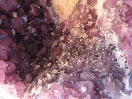Amethyst-Druse 56cm | 30kg