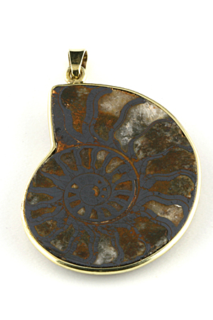 Anhänger Ammonit in Gold