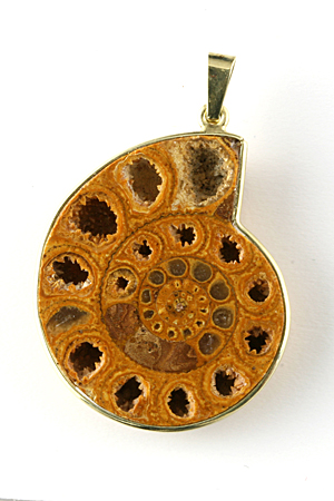 Anhänger Ammonit in Gold