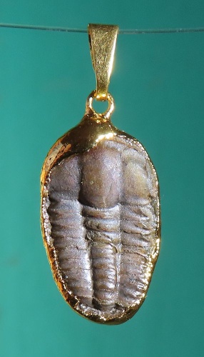 Anhänger Trilobit galvanisch vergoldet