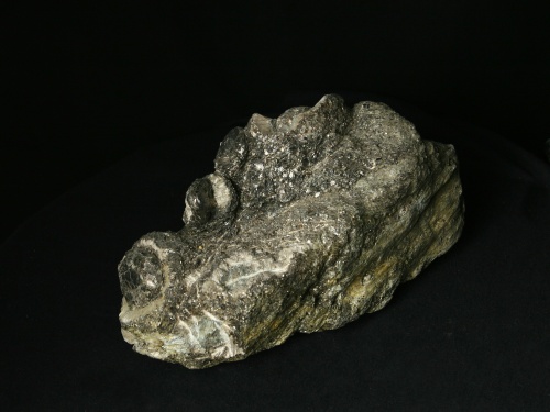 Antophyllite, Phlogopite, Chlorite