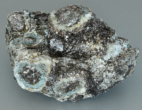 Antophyllite, Phlogopite, Chlorite