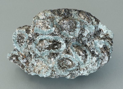 Antophyllite, Phlogopite, Chlorite