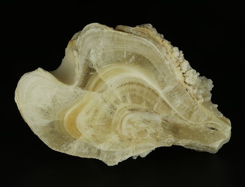 Aragonite, Calcite