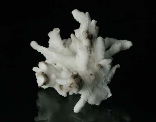 Aragonite (flos ferri)