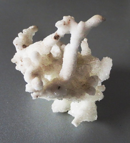 Aragonite (flos ferri)