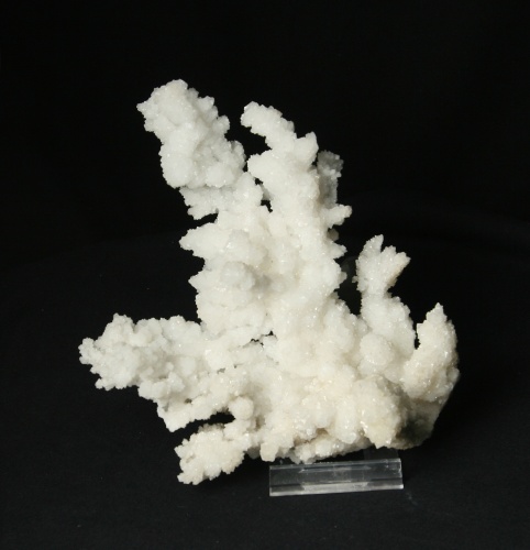 Aragonite