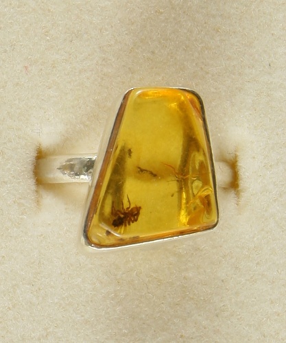 Amber with fossilized Insect, Ring, Silver 925