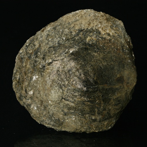 Biotite